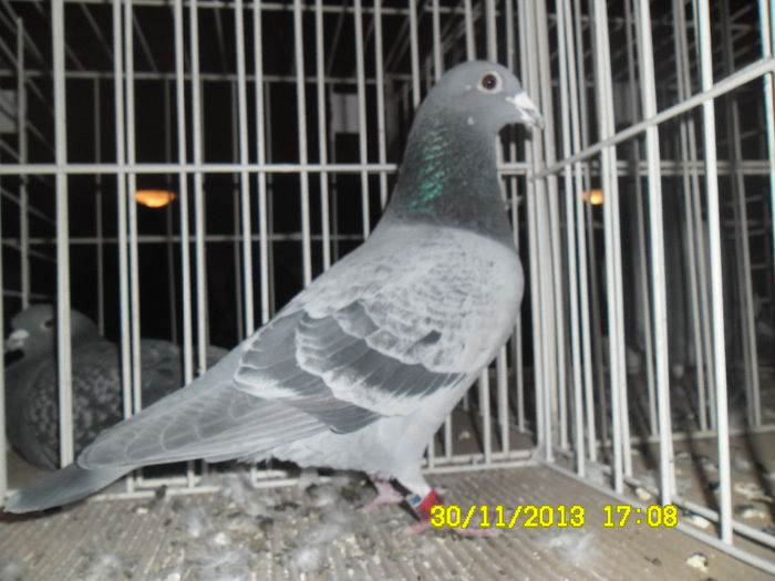 SAM_0807