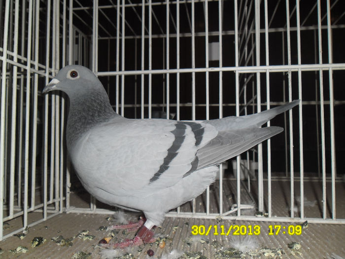 SAM_0811