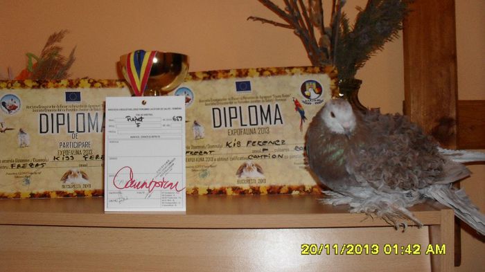 Campion National - EXPOFAUNA BUCURESTI 2013