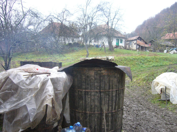 Butile cu borhot - la facut tuica la Musariu 2013