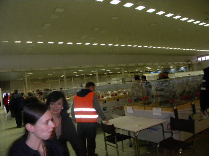 484 - POZE EXPOZITIE NITRA 23-11-2013