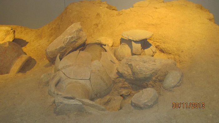 IMG_4502 - 30 noiembrie 2013