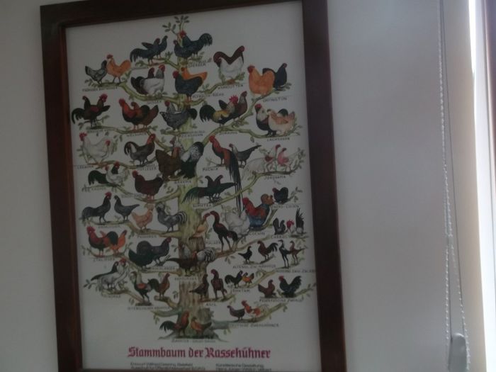 Un arbore  genealogic