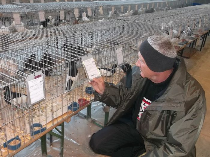 Cartea de vizita a campionului