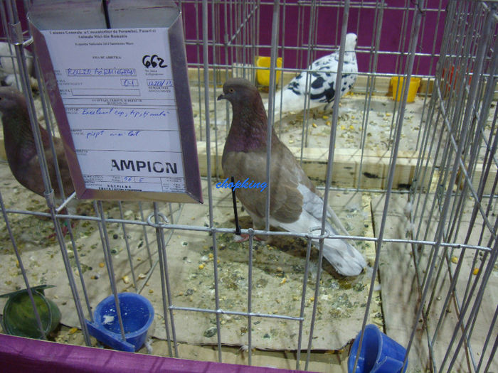 DSC08750