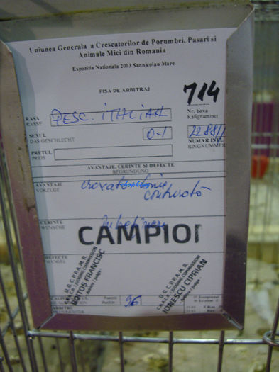 DSC08753