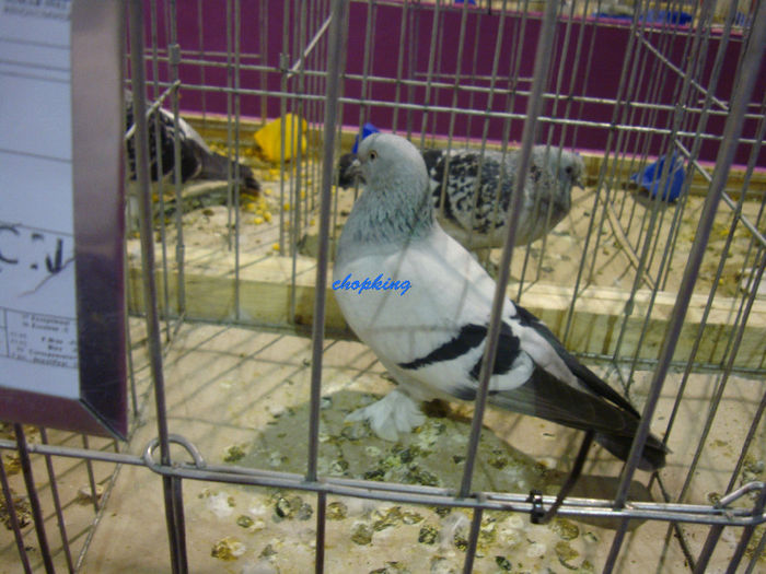 DSC08759