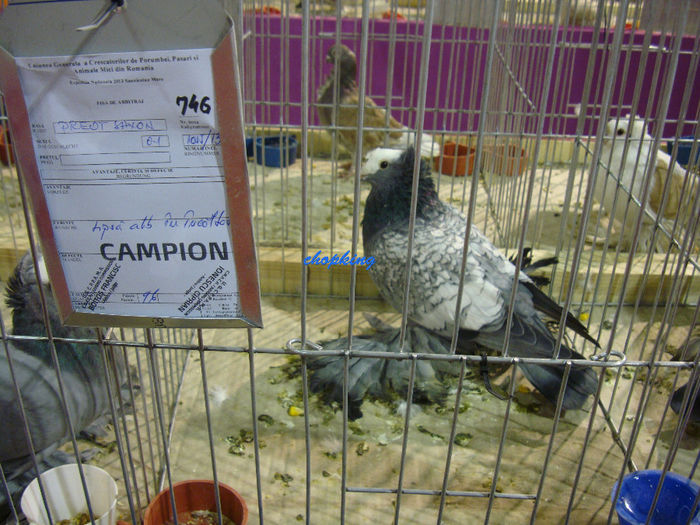 DSC08766