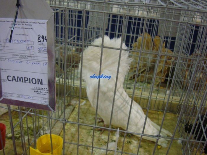 DSC08796