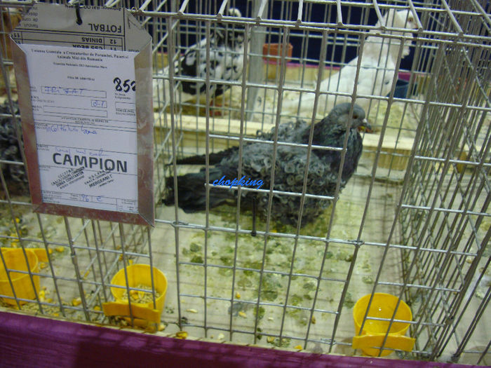 DSC08800