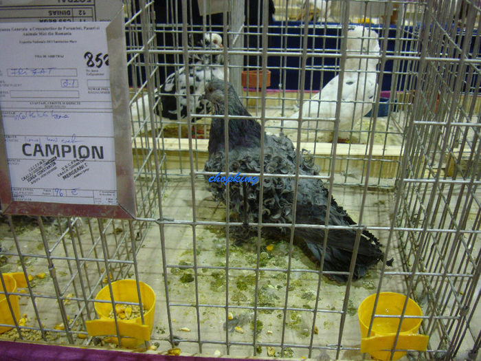 DSC08802