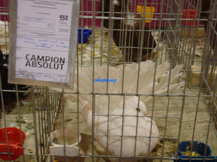 DSC08815