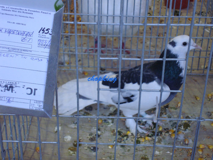 DSC08840