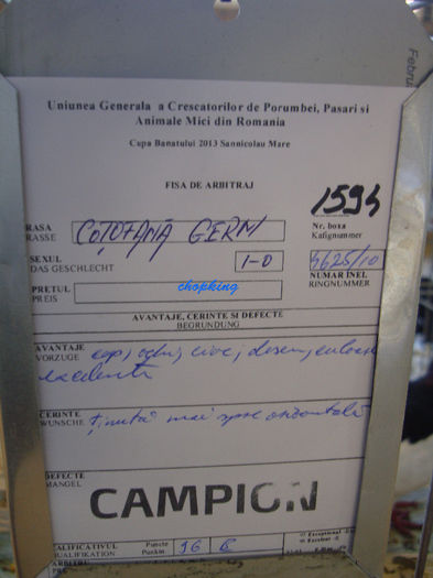 DSC08866