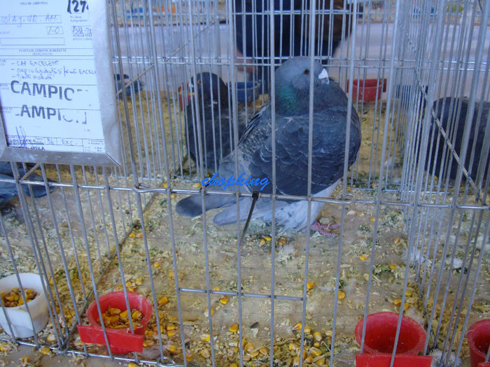 DSC08880