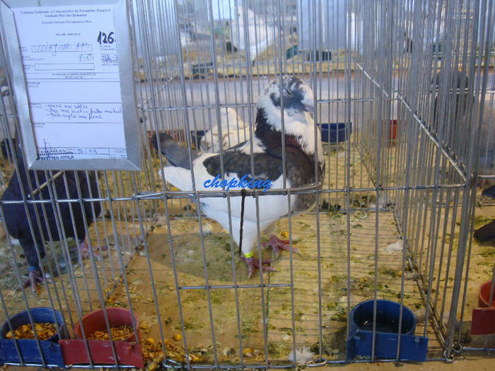 DSC08881
