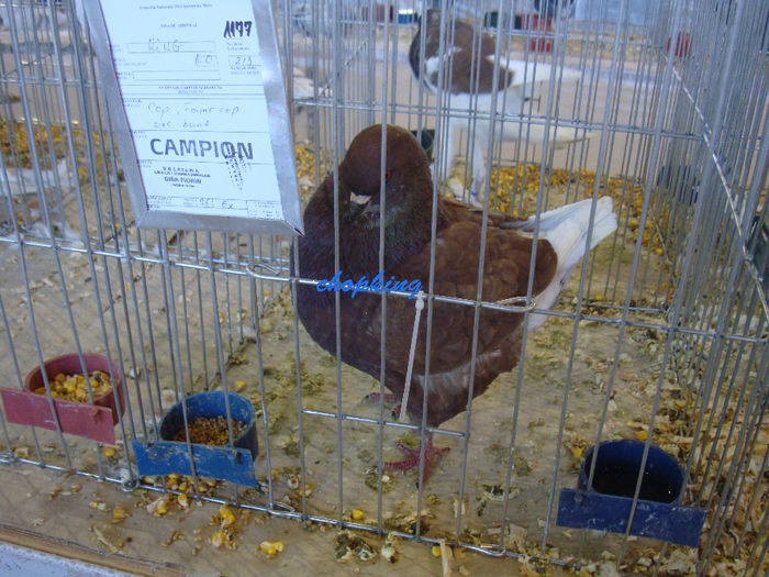 DSC08891
