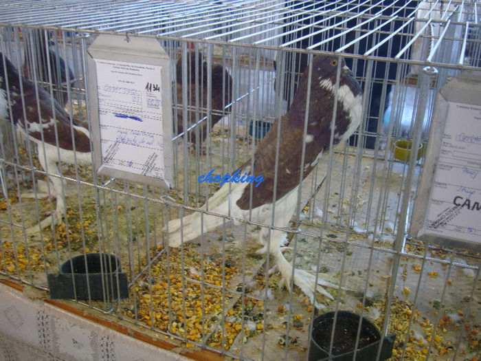 DSC08900