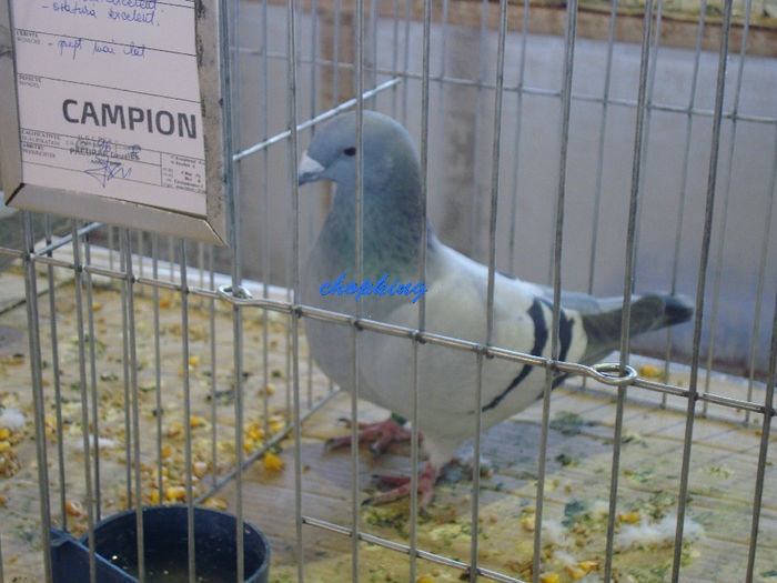 DSC08905