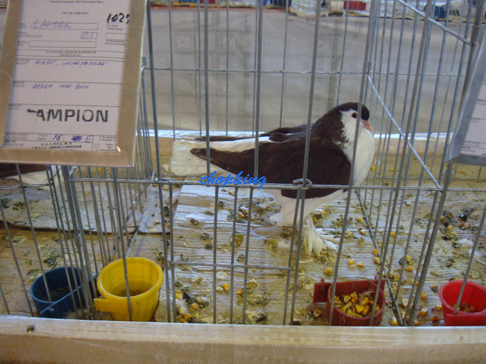 DSC08914