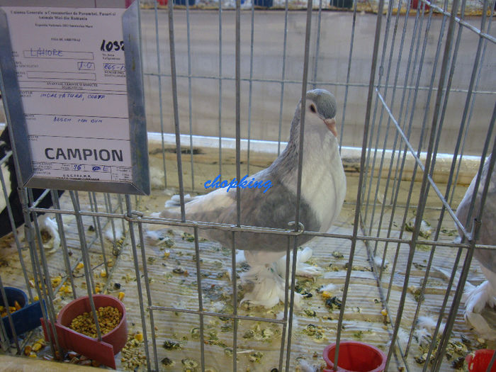 DSC08918