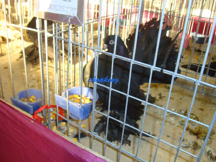 DSC08965