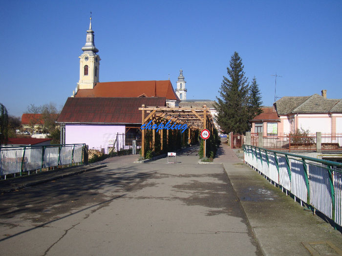 DSC08991