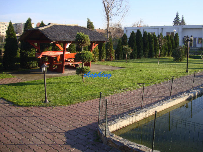 DSC09008