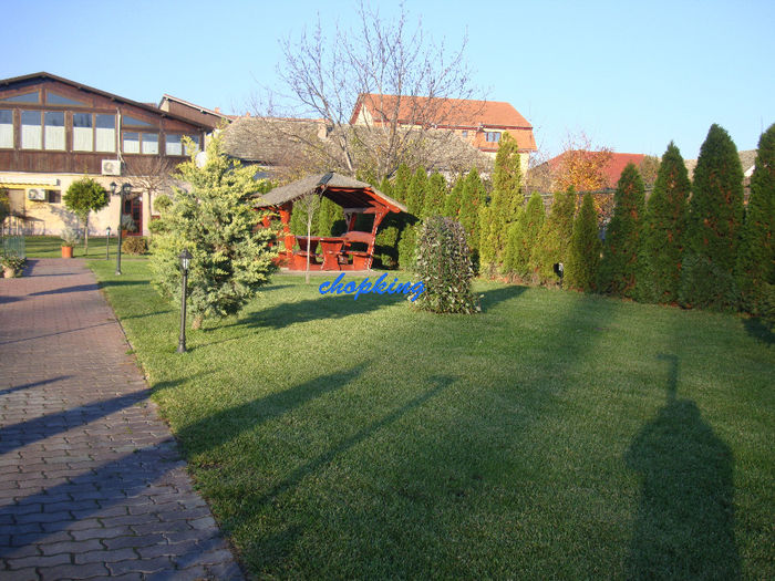 DSC09011