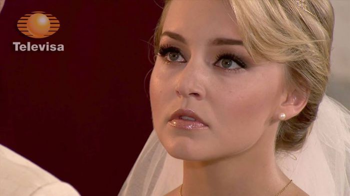 1468686_10152030088490923_1578597027_n