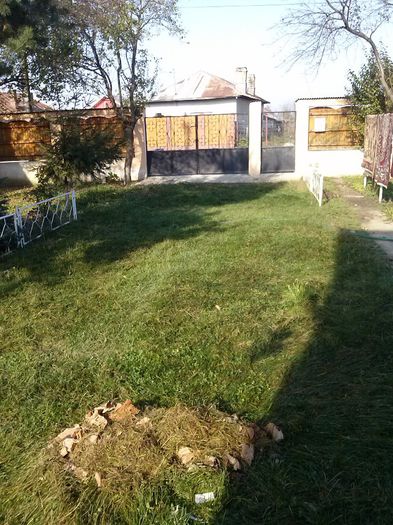 poze 028; 0 ultima "pieptanare"inainte de a venii zapada ....
