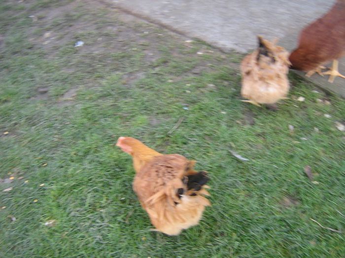 Picture 377