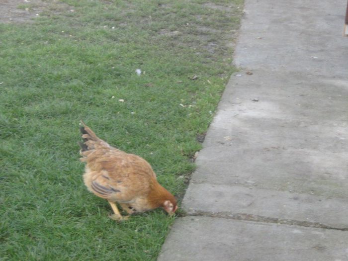 Picture 404