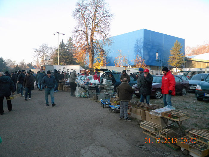 DSCN4838 - Subotica-1 Decembrie 2013