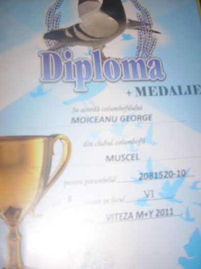 LOC 6 VITEZA M+Y 520 - W  DIPLOME SI MEDALII