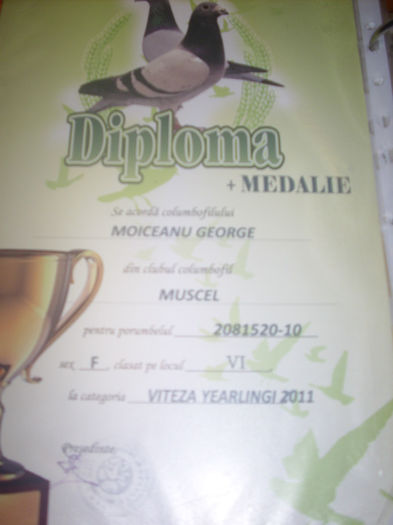 LOC 6 VITEZA Y 520 - W  DIPLOME SI MEDALII