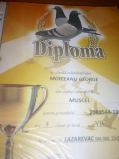 LOC 7 LAZAREVAC - W  DIPLOME SI MEDALII