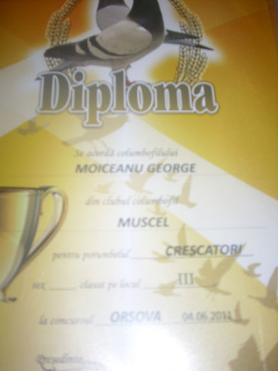 LOC3 VITEZA CRESCATORI ORSOVA - W  DIPLOME SI MEDALII