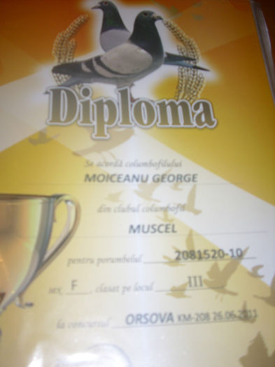 LOC 3 ORSOVA 520 - W  DIPLOME SI MEDALII