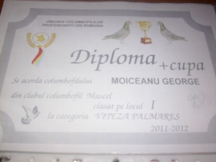 LOC1 VITEZA PALMARES 2011-2012 - W  DIPLOME SI MEDALII