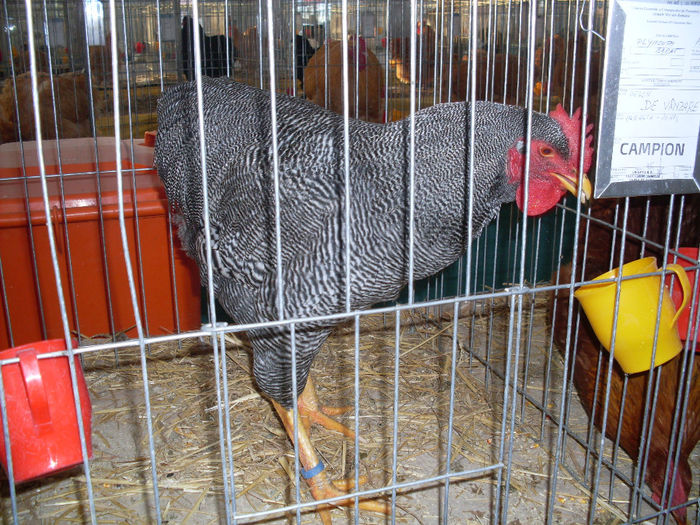 SDC12679