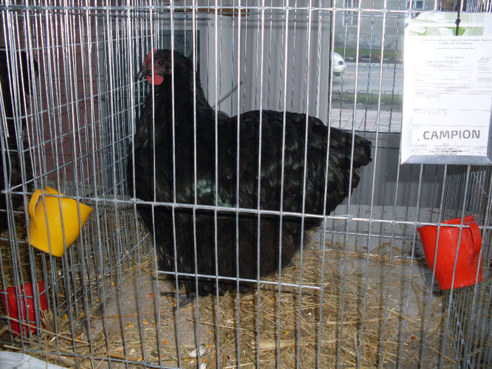 SDC12692