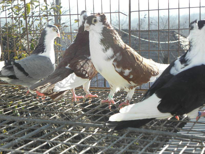 PC010280 - GALATENI