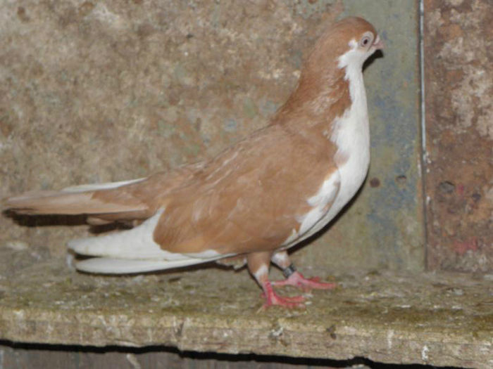 PC010411