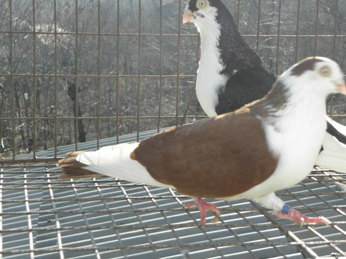 PC010470