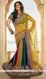 22 - Alege Saree