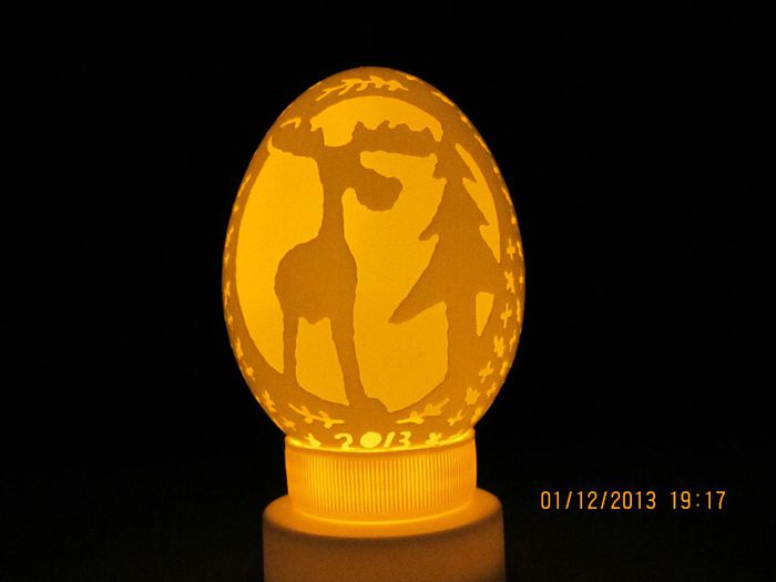 ou de rata - 2013 - Oua dantelate - Eggs Carved