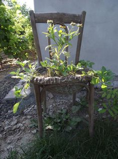 fvb - frumuseti pentru gradina si curte