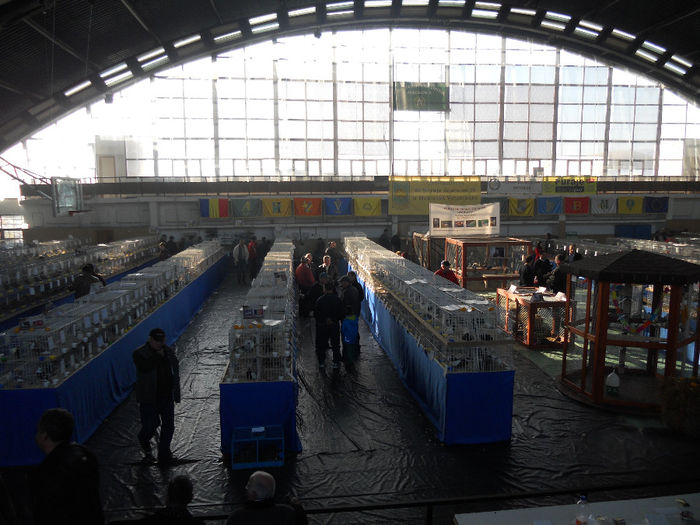 DSCN1654 - Expo Bucuresti 14-16 nov 2013