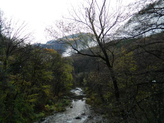 DSCN8675